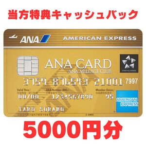 【当方特典あり/最大7.8万ポイント獲得】ANA アメックス ゴールド 紹介キャンペーン amex アメリカンエキスプレス クレジットカード