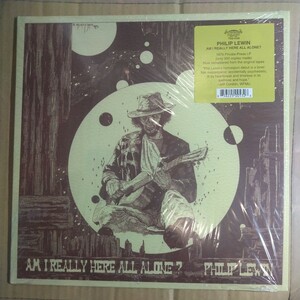 フィリップ・ジョン・ルーウィン 「Am I really here all alone?」LPレコード 2017年 1st album★★Philip john lewin acid folk psyche