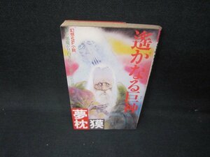 遙かなる巨神　夢枕獏　シミ多/IBK