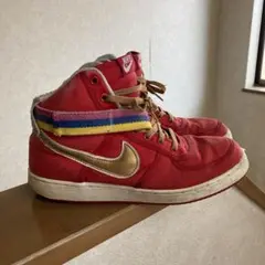 NIKE バンダル