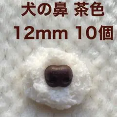 犬の鼻　動物の鼻　さし鼻　差し鼻　さし目　茶色  12mm  10個