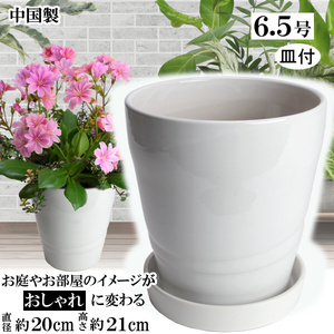 植木鉢 おしゃれ 安い 陶器 サイズ 20cm MBC19 6.5号 ホワイト 受皿付 室内 屋外 白 色