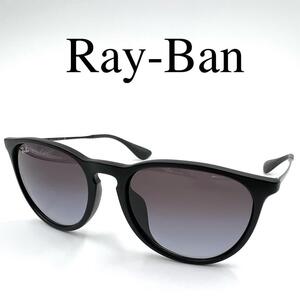 Ray-Ban レイバン サングラス 度なし RB4171-F ケース付き