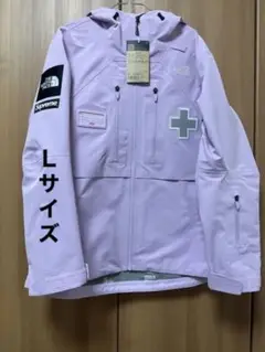 Supreme The North Face Mountain Jacket