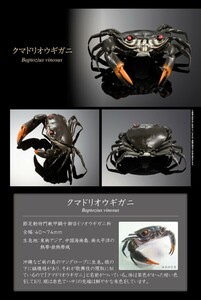 いきもの大図鑑 アドバンス カニ クマドリオウギガニ かに 蟹 甲殻類 動物 生物 フィギュア バンダイ BANDAI 新品袋未開封