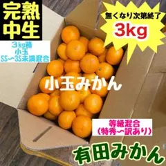 【小玉SS〜4S・完熟中生有田みかん】等級混合／3kg No.011