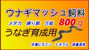 送料無料　ウナギ成魚用養鰻場　【800g】　魚粉74% メダカ　練り餌　粉エサ　稚魚　小魚　罠餌　釣り　活性　集魚力強 A うなぎ　金魚