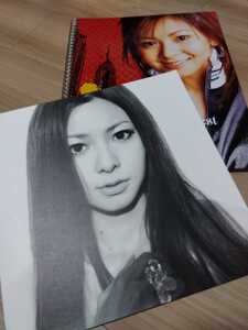 evolve 2004 倉木麻衣 2004 Wish You The Best 写真集 ライブ写真集 ２枚組CD