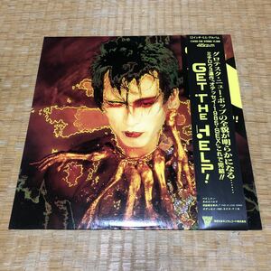 遠藤ミチロウ GET THE HELP 国内盤帯付きレコード