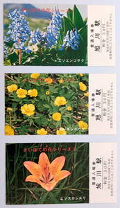 ★国鉄 さいはての花シリーズ 記念入場券★旭川駅★５枚１組 (30円×5)★1976.7★旭川鉄道管理局★送料110円～