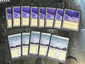 MTG 冠雪の平地 日英 13枚セット ICE・CSP