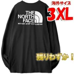 ノースフェイス ロンT 長袖Tシャツ 長袖 海外3XL 日本5L相当 黒 tb