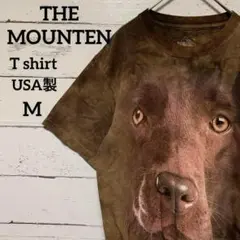 THE MOUNTEN リアルレトリバーTシャツ半袖　ダイダイ柄　USA製