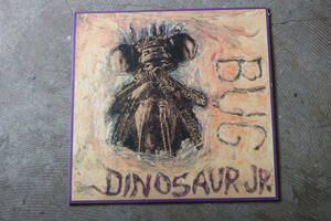 USED～DINOSAUR JR.　BUG LP 12inch 　ダイナソーJr. 中古レコード