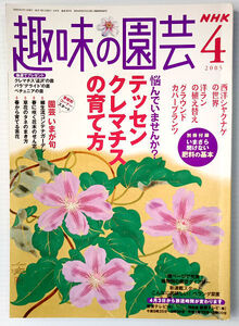  NHK趣味の園芸／2005年4月号　クレマチスの育て方　洋ランの植え替え　グラウンドカバープランツ　西洋シャクナゲの世界