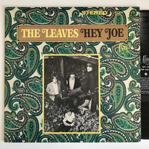 The Leaves - Hey Joe