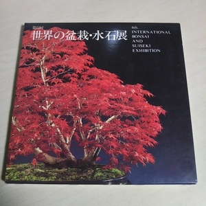 第6回 世界の盆栽・水石展 日本盆栽協会 1985 日本万国博15周年記念 外箱有 松