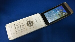 D4887 docomo FOMA P-06B Panasonic パナソニック ガラケー 折り畳み式 簡易動作確認＆簡易清掃＆初期化OK 判定○ 現状品 送料無料　