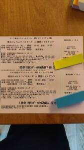 プロ野球　6/25　横浜vs巨人　新潟　内野S席　実質最前列　チケット2枚
