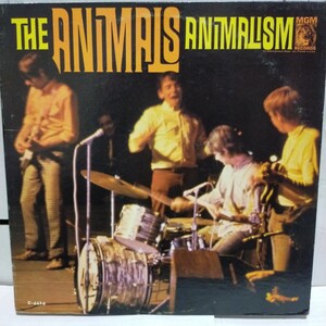 US盤LP/THE ANIMALS ジ・アニマルズ/ANIMALISM/1966 MGM Records E-4414 Waddell Press Mono盤 Eric Burdon Frank Zappa Chas Chandler