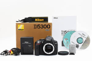  【元箱付き♪上美品♪(^^♪】Nikonニコン D5300 ブラックボディ【2416万画素】　　 1008