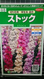 ３袋セット ストック 切り花用 早生系 種 郵便は送料無料