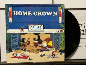 AOR Hawaii LP Mellow Hawaiian Homegrown IV ハワイ レコード