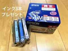 EPSON IC6CL70M