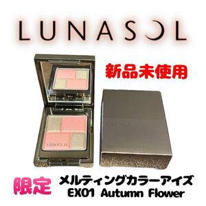 【新品未使用】限定 メルティングカラーアイズ EX01 AutumnFlower