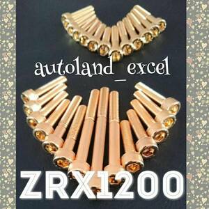 即決☆ZRX1200★金メッキエンジンカバーボルト！