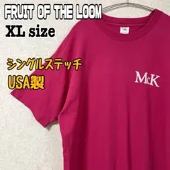 シングルステッチ USA製 オーバーサイズ tシャツ フルーツオブザルーム 古着