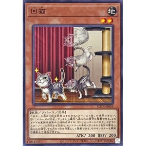 ☆遊戯王a　回猫　ROTA・ノーマル