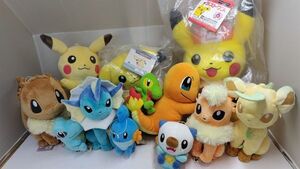 【大量】ポケモンぬいぐるみセット　一番くじラストワン賞他　