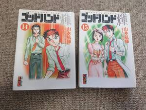 ゴッドハンド 輝 文庫版 14巻、15巻の2冊セット