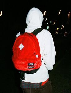 Supreme シュプリーム THE NORTH FACE ノースフェイス 20AW Supreme Fur Backpack シュプリーム ファー バックパック リュック 