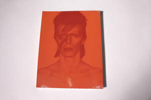 David Bowie Is (Softcover Catalogue) Brooklyn Museum Edition BOOK