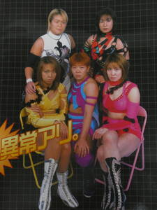 全日本女子プロレス・パンフレット2001年ジャパン・グランプリ　豊田真奈美、下田美馬、三田英津子、堀田祐美子、井上貴子、納見佳容、脇澤