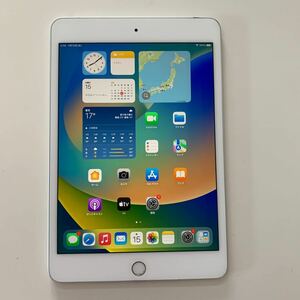 iPad mini5 64GB A2124 Wi-Fi+Cellular 7.9インチ 第5世代 中古 SIMフリー 番号：pd031 ジャンク