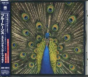 The BLUETONES★Expecting to Fly [ブルートーンズ,マーク モリス]