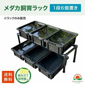 ★メダカ飼育黒ラック　1段6個置き★ めだか飼育棚NVBOX13 めだか容器産卵撮影 ビオトープゾウリムシPSB針子タマミジンコにどうぞ