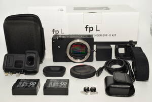 【特上品】 シグマ ( SIGMA ) fp L ELECTRONIC VIEWFINDER EVF-11 キット　#7170