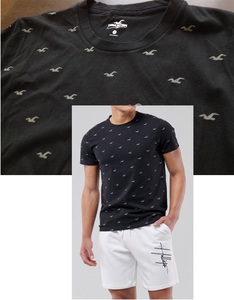 【既決USA】アバクロ&ホリスター@暗闇で光る【Seagull | All-Over Logo】ロゴ入半袖Tシャツ【Hollister Glow-in-the-Dark Icon Tee】黒@S
