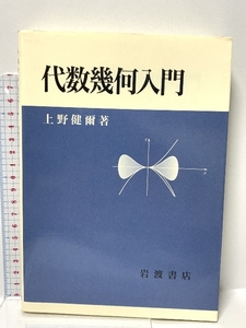 代数幾何入門 岩波書店 上野 健爾