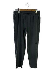 THE NORTH FACE◆FLEXIBLE ANKLE PANT_フレキシブルアンクルパンツ/XL/ナイロン/GRY