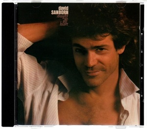 【即決】デビッド・サンボーン　DAVID SANBORN / Straight To The Heart