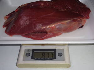 天然鹿肉　捕れたて　モモ肉　その他　８７７ｇ　　同梱可能