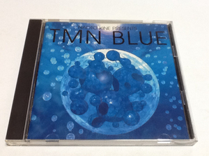 黄金価格！TM NETWORK BLUE NAOTO KINE PRESENTS 同梱可能