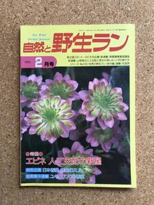 自然と野生ラン 1993年2月号　エビネ 春蘭 雪割草 カンアオイ ※ 園芸JAPAN