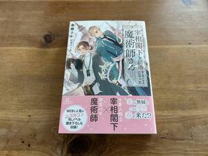 宰相閣下と結婚することになった魔術師さん 傘路さか