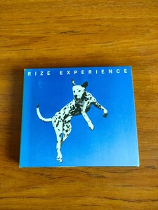 廃盤 初回限定盤 ライズ エクスペリエンス RIZE EXPERIENCE 市原隼人 クロヒョウ 龍が如く新章 コカ・コーラ ゼロ